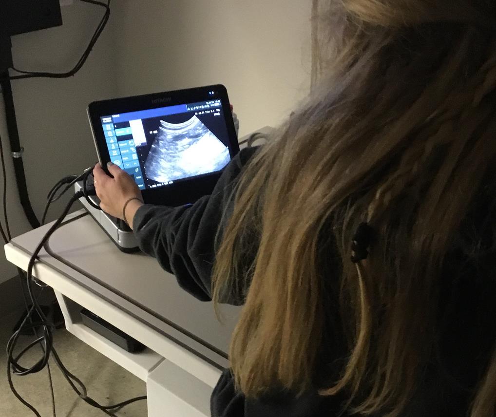 Diagnostics in Atlanta, GA Peachtree Creek Animal Hospital