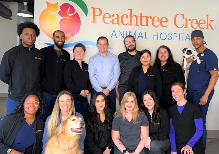 Our Veterinary Team in Atlanta, GA Peachtree Creek Animal Hospital
